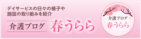 介護ブログ 春うらら